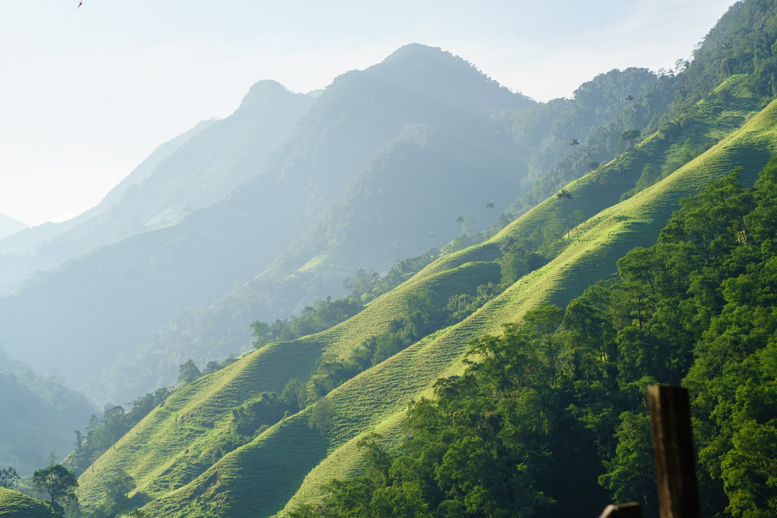 Why Colombia Should Be On your Short List