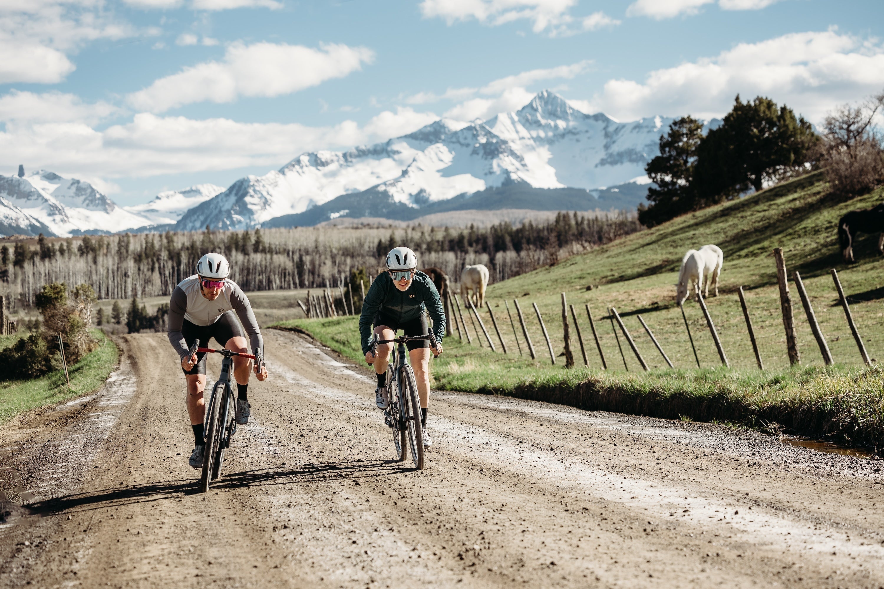 WTB Vulpine vs Vulpine S