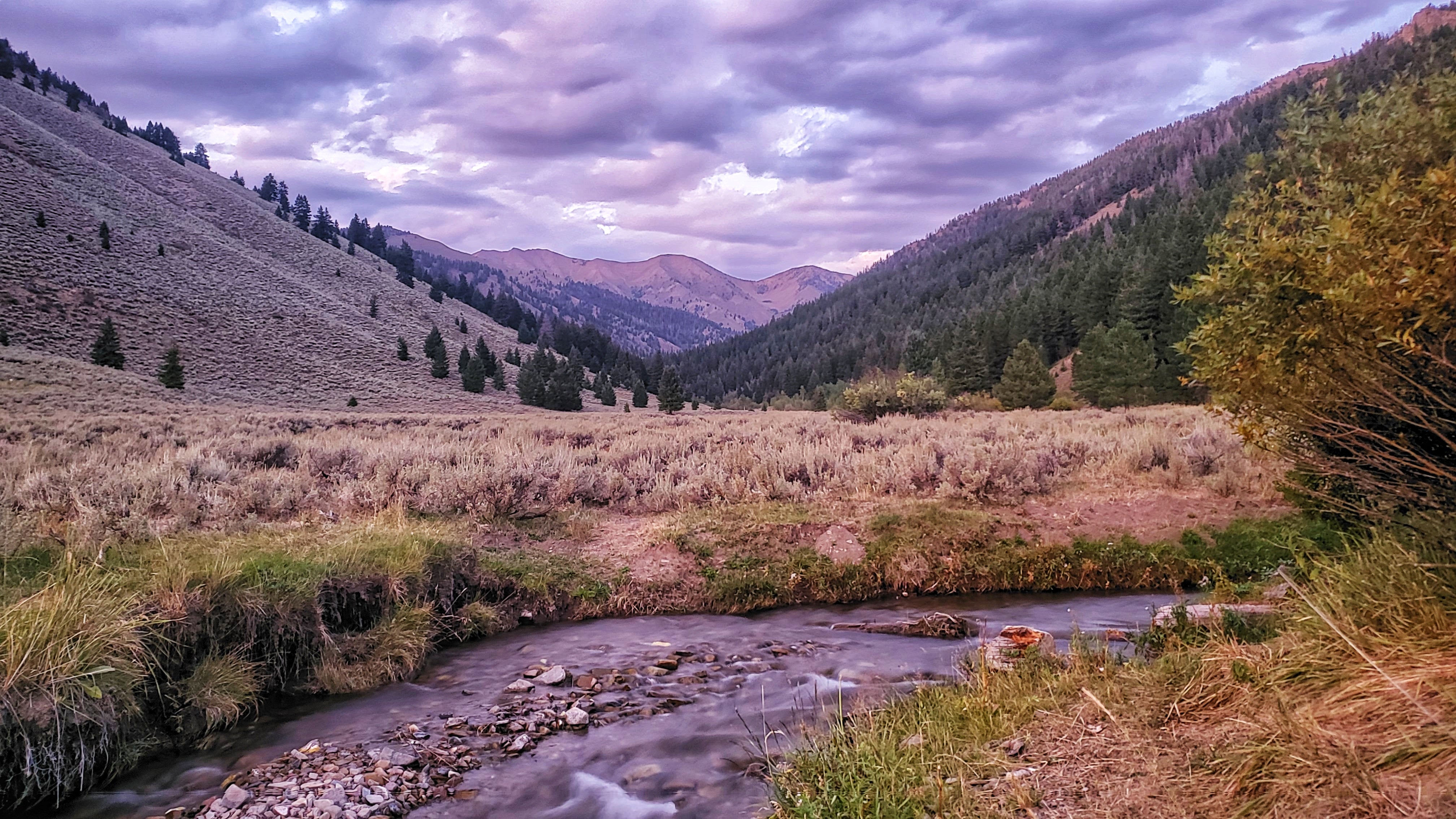 WTB Van Tour : Rebecca's Private Idaho