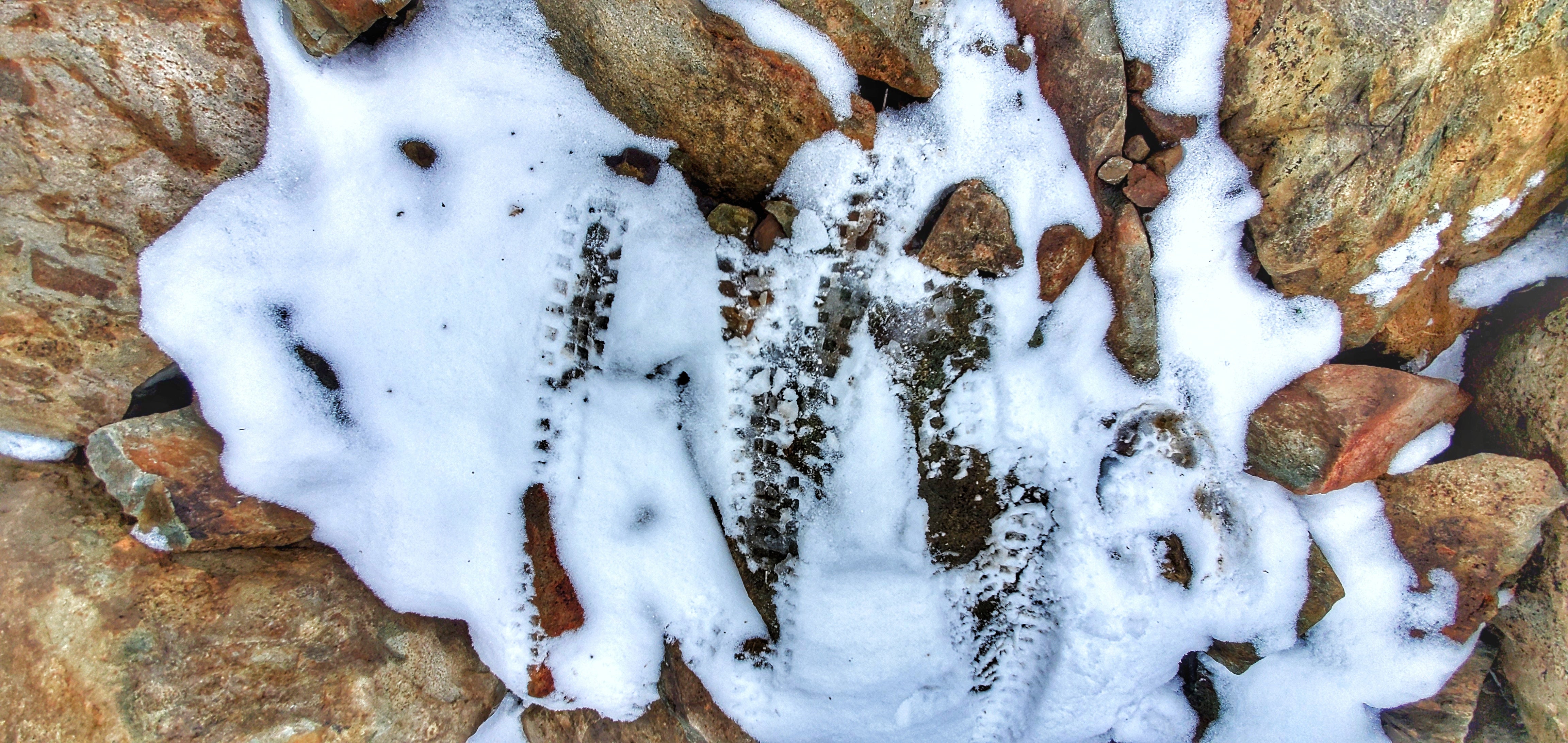 The Winter Dream Team - Viglante and Judge Combo