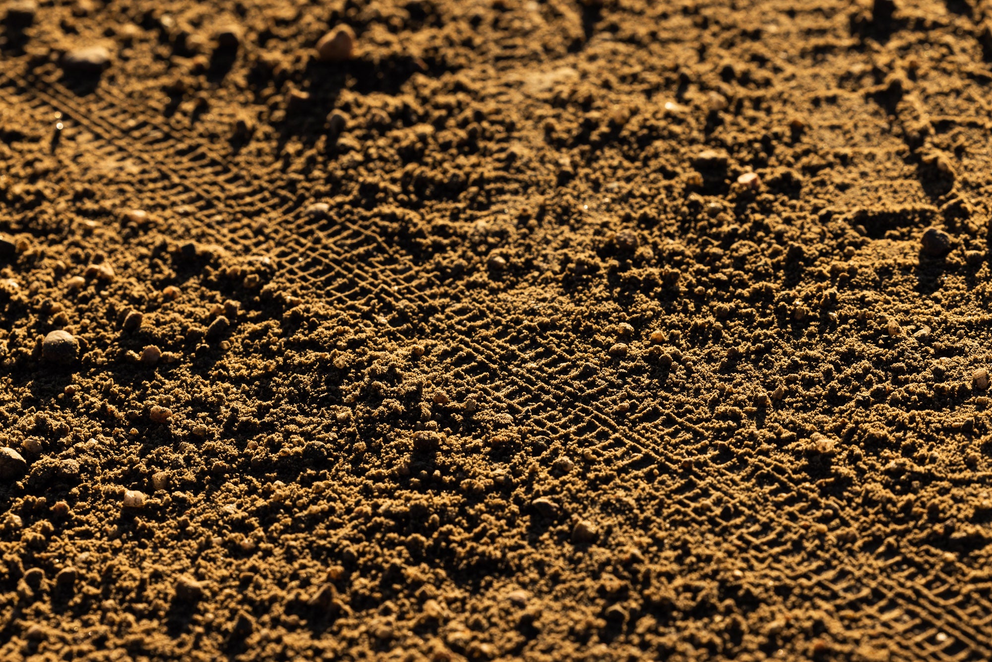 Race-focused Vulpine tire joins WTB gravel line