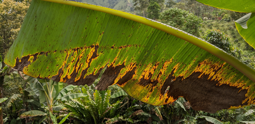 Bikepacking Through Columbia