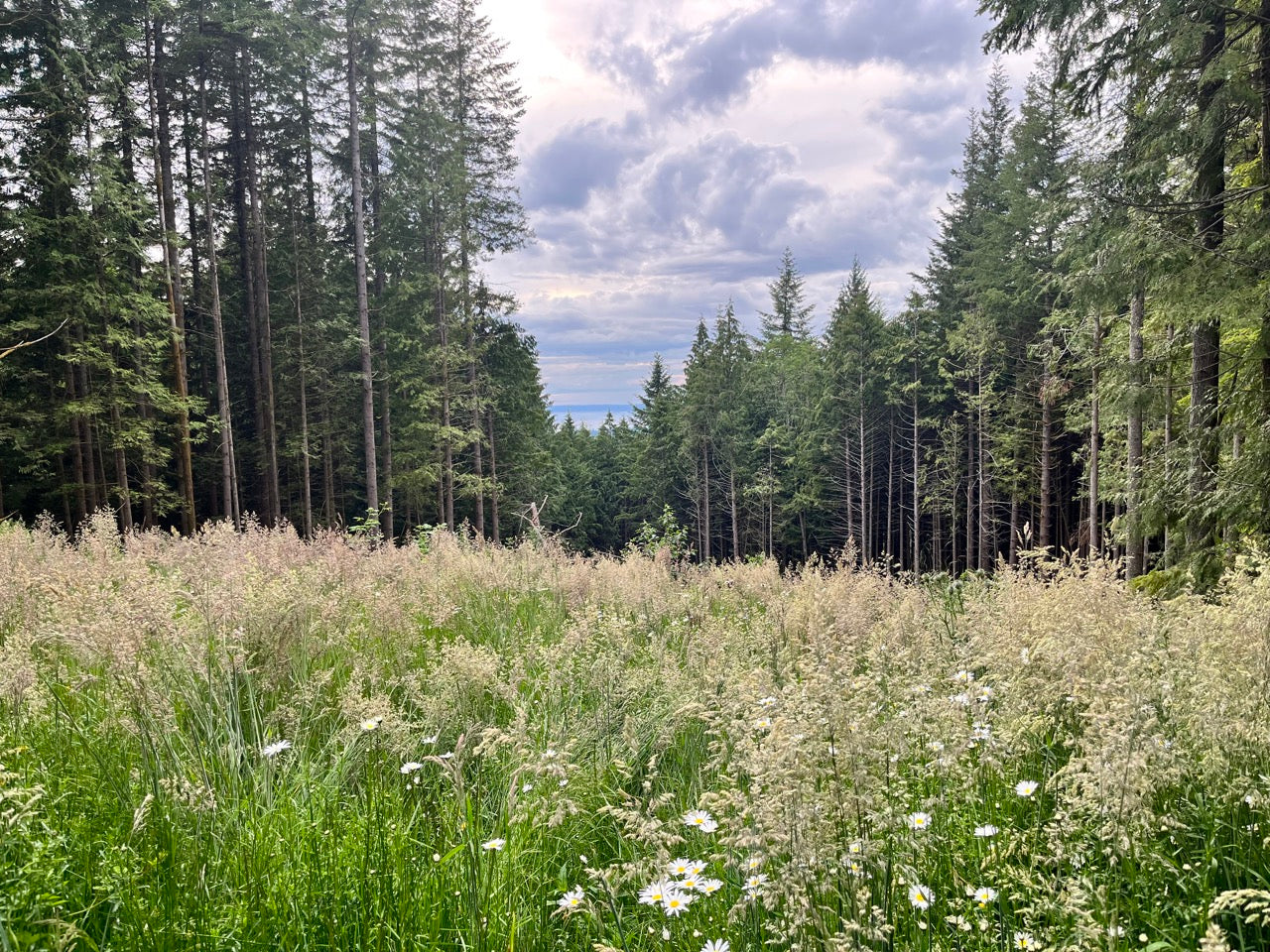 Van Tour 2022: Northwest TuneUp