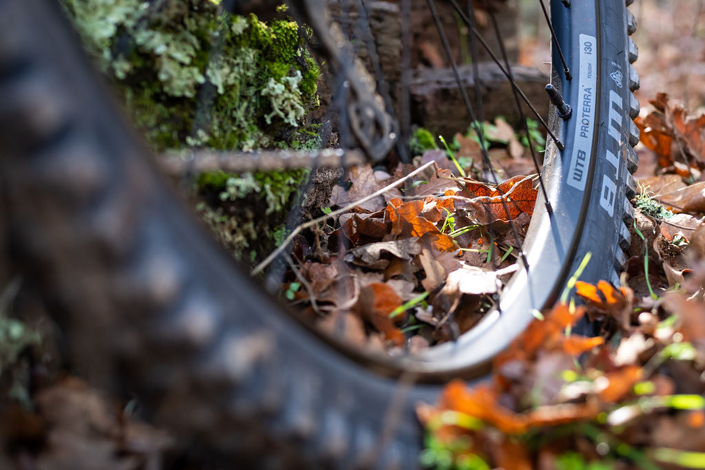 WTB launches new Proterra wheels for every bike, rider and budget
