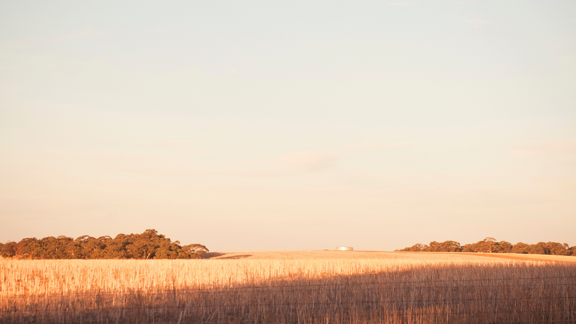 Graveliers: Adventure After The Fires