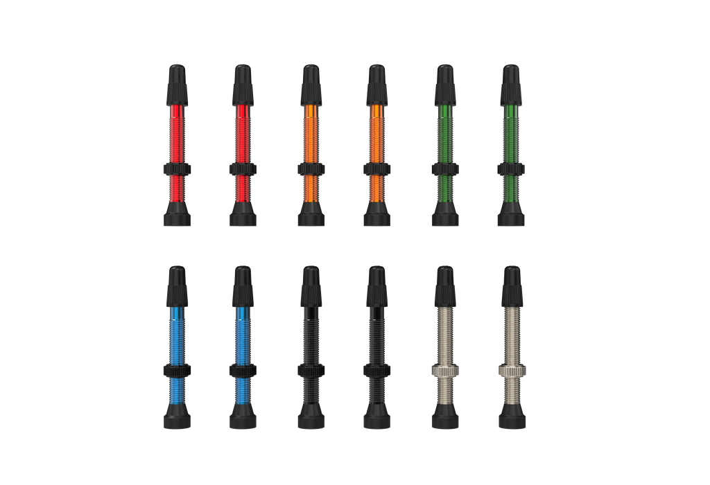 WTB TCS Tubeless-Ready Valves