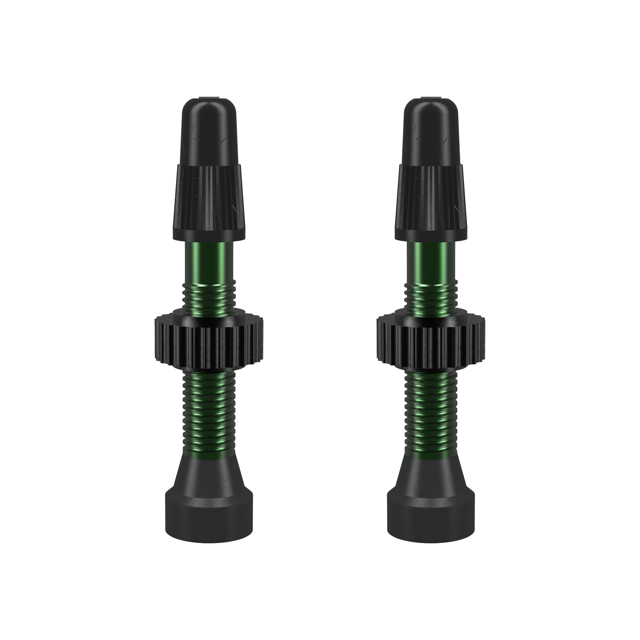 WTB TCS Tubeless-Ready Valve - 34mm Green