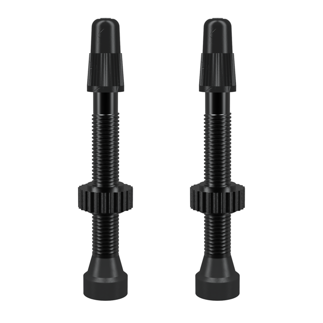 WTB TCS Tubeless-Ready Valve- 46mm Black