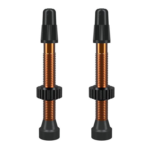 WTB TCS Tubeless-Ready Valve 46mm Orange