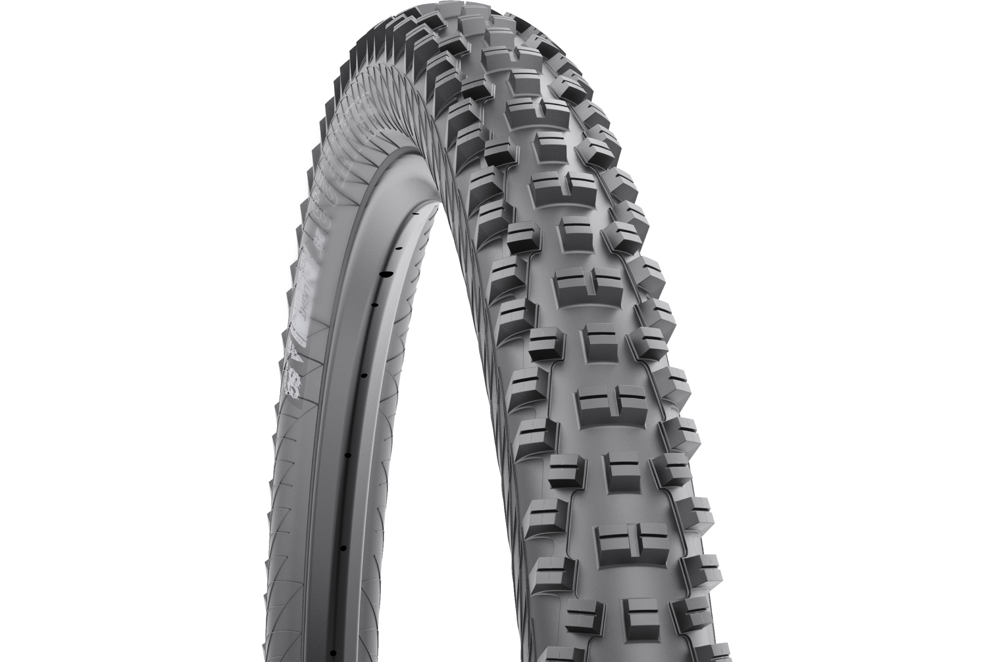 Versatile Mountain Tires for Aggressive Trail Performance