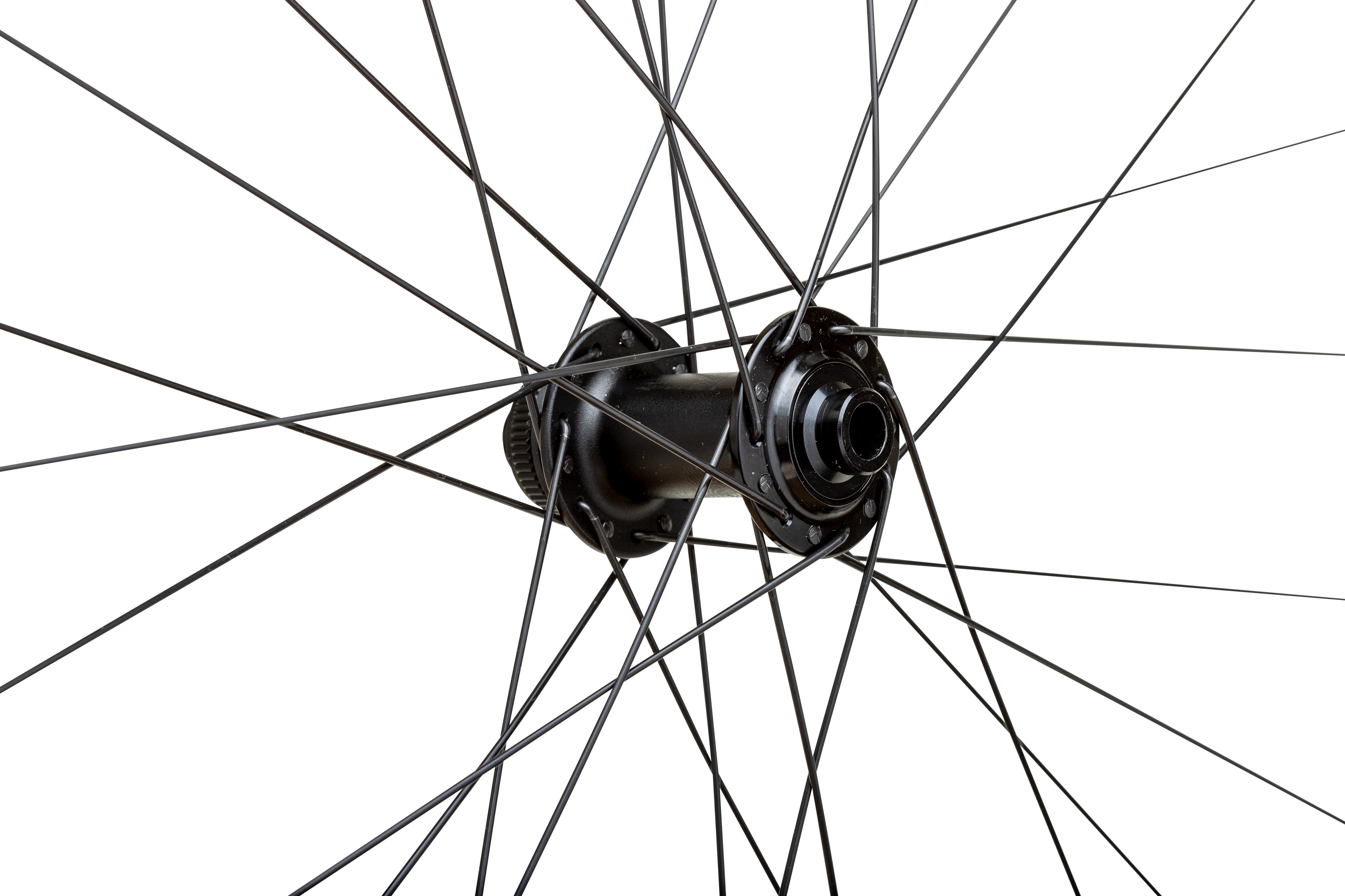 Proterra Light i23