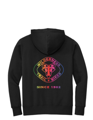 WTB Heritage Logo Rainbow Hoodie