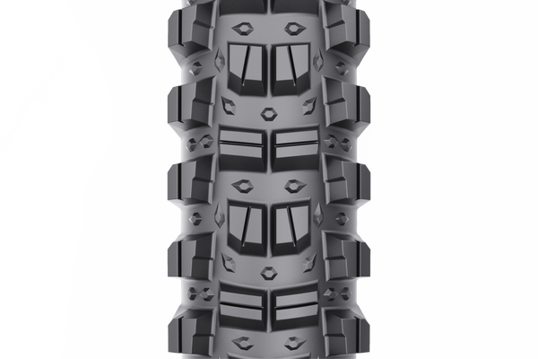 Wtb judge 2.4 29 2025