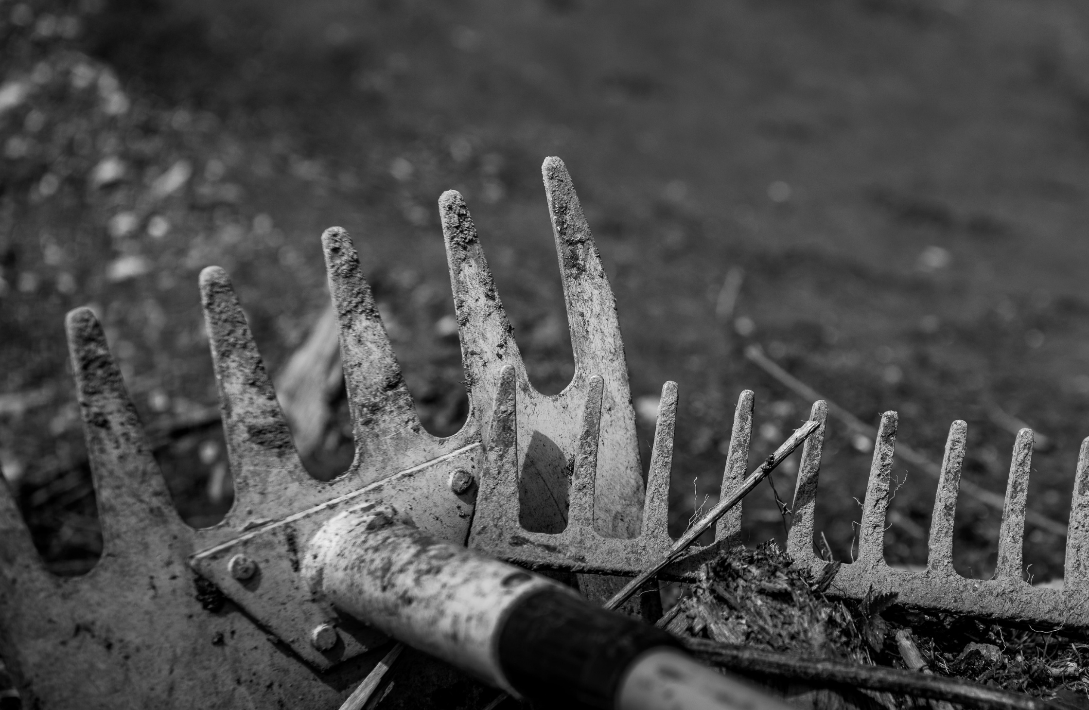 Build With Purpose: Pisgah Area SORBA