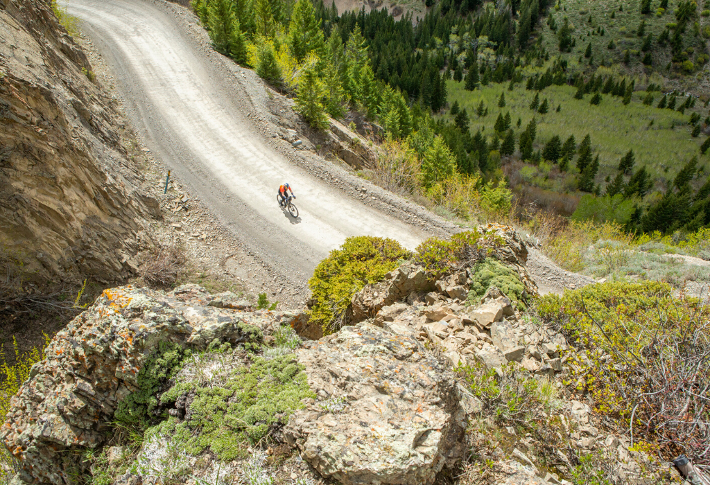 The NEW Rebecca's Private Idaho and Q&A with the "Queen Of Pain"