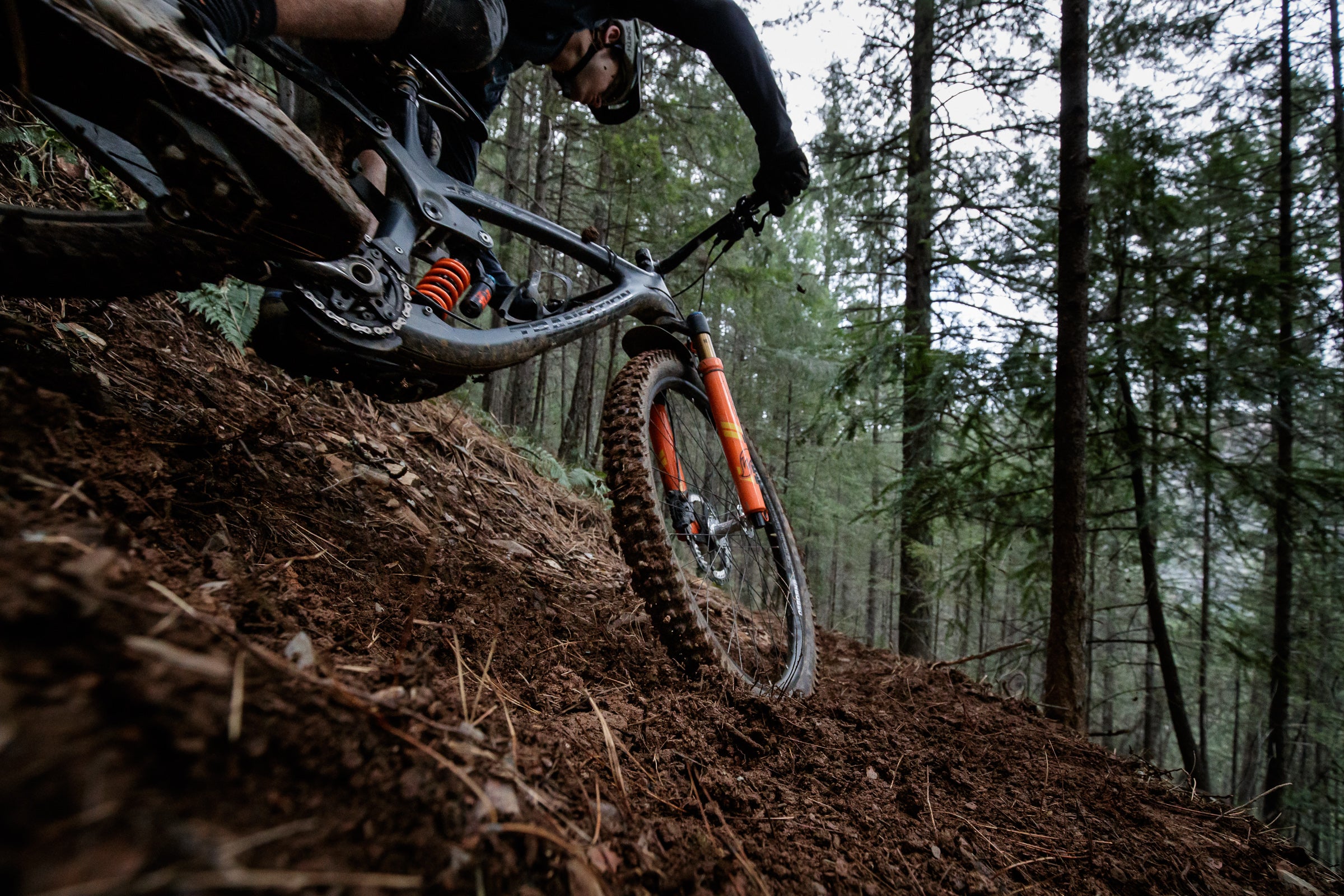 WTB Adds 2.8 Width to Vigilante Family