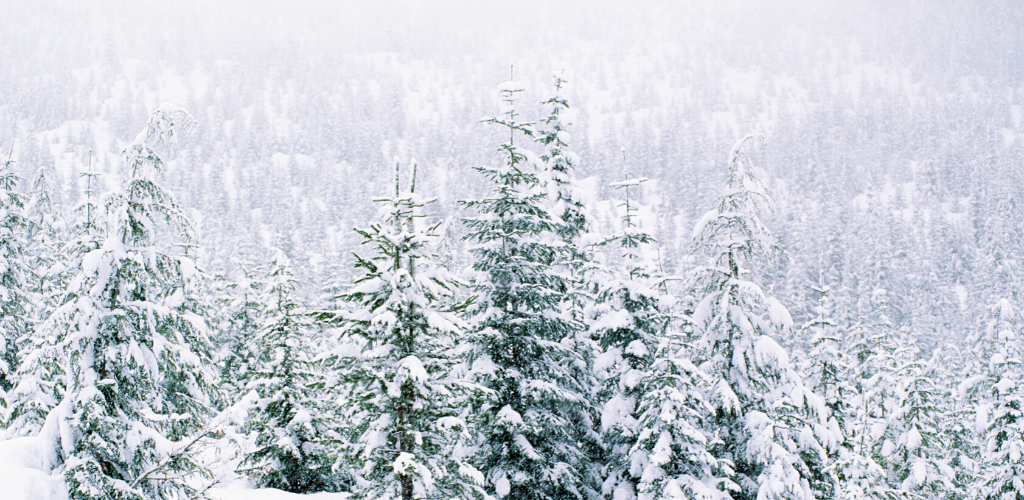 Van Tour : Old Man Winter Bike Rally