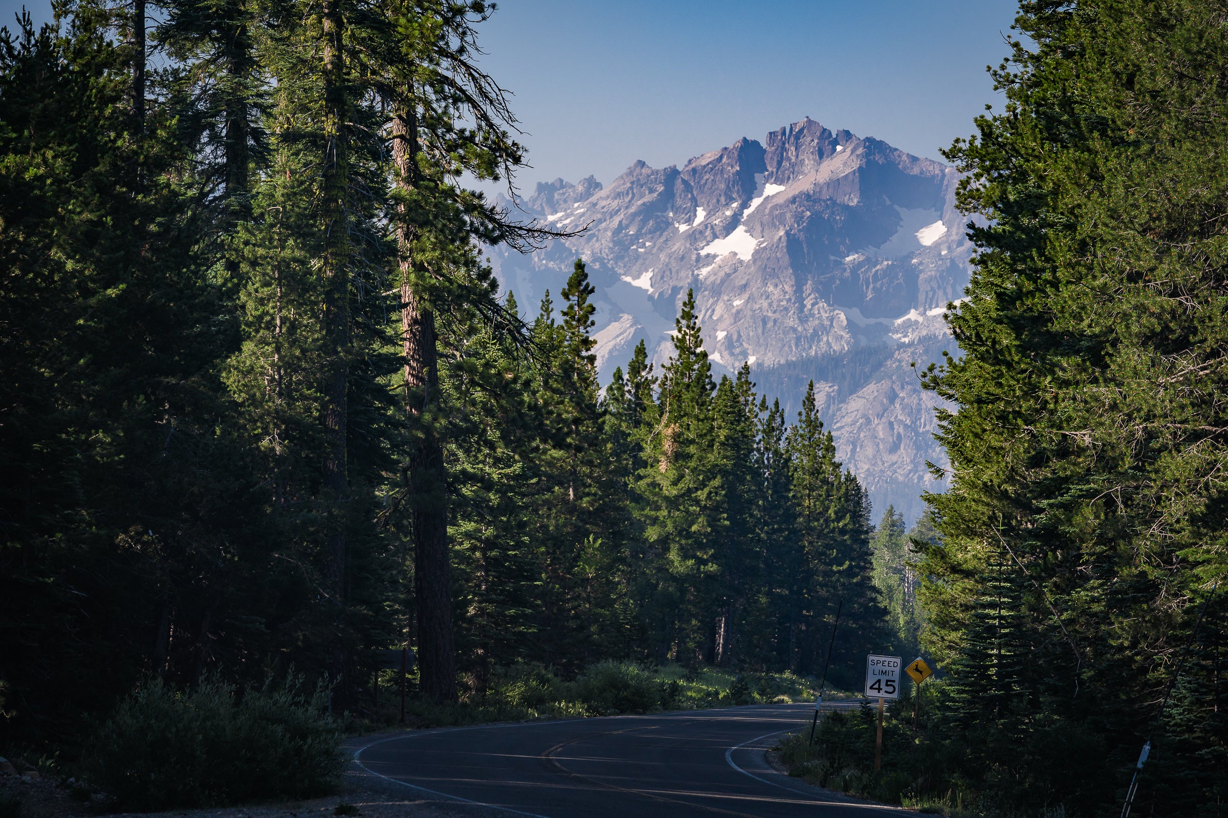 Introducing....The WTB Graveliers!