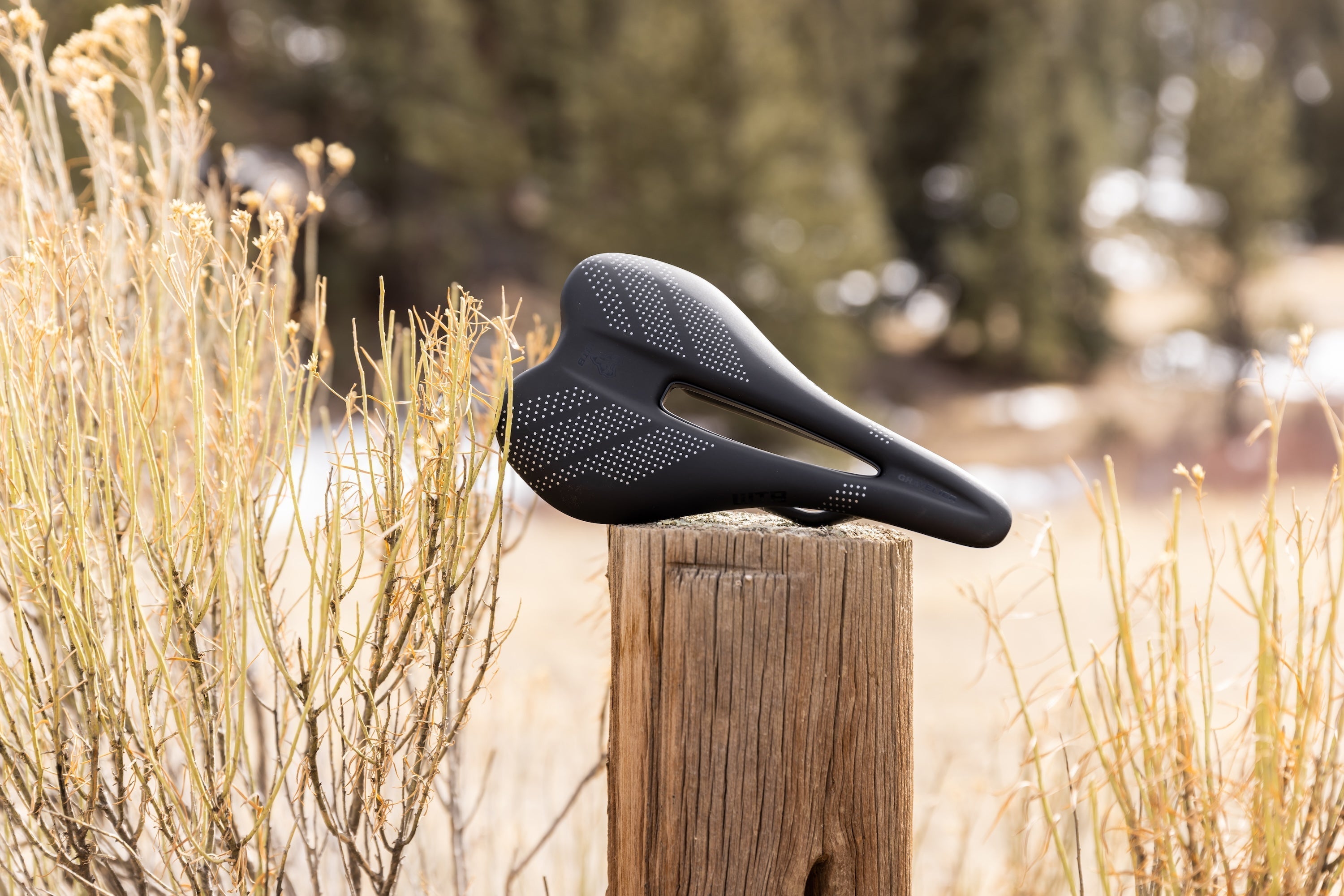 Why Choose the WTB Gravelier Bike Saddle?