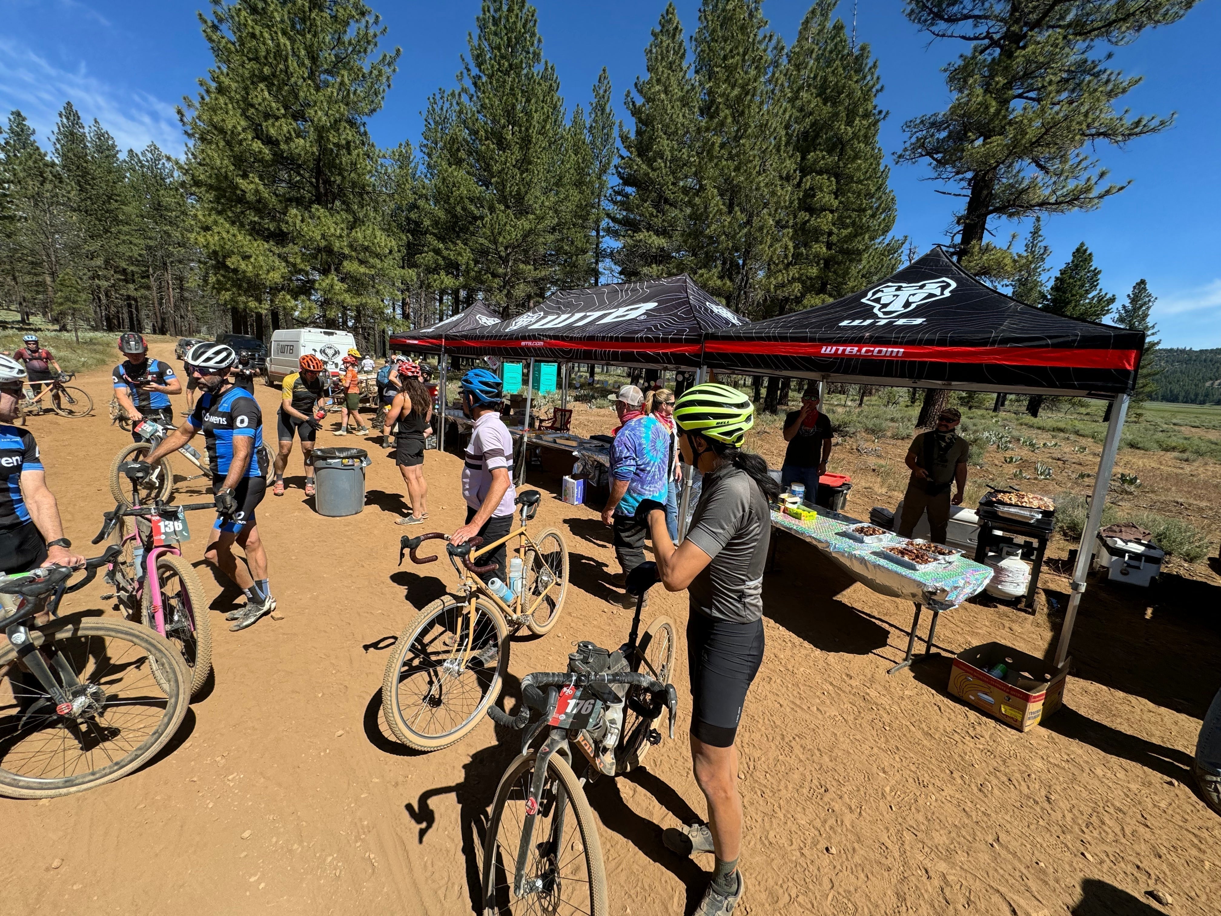 Tires of Choice for Lost and Found 2025