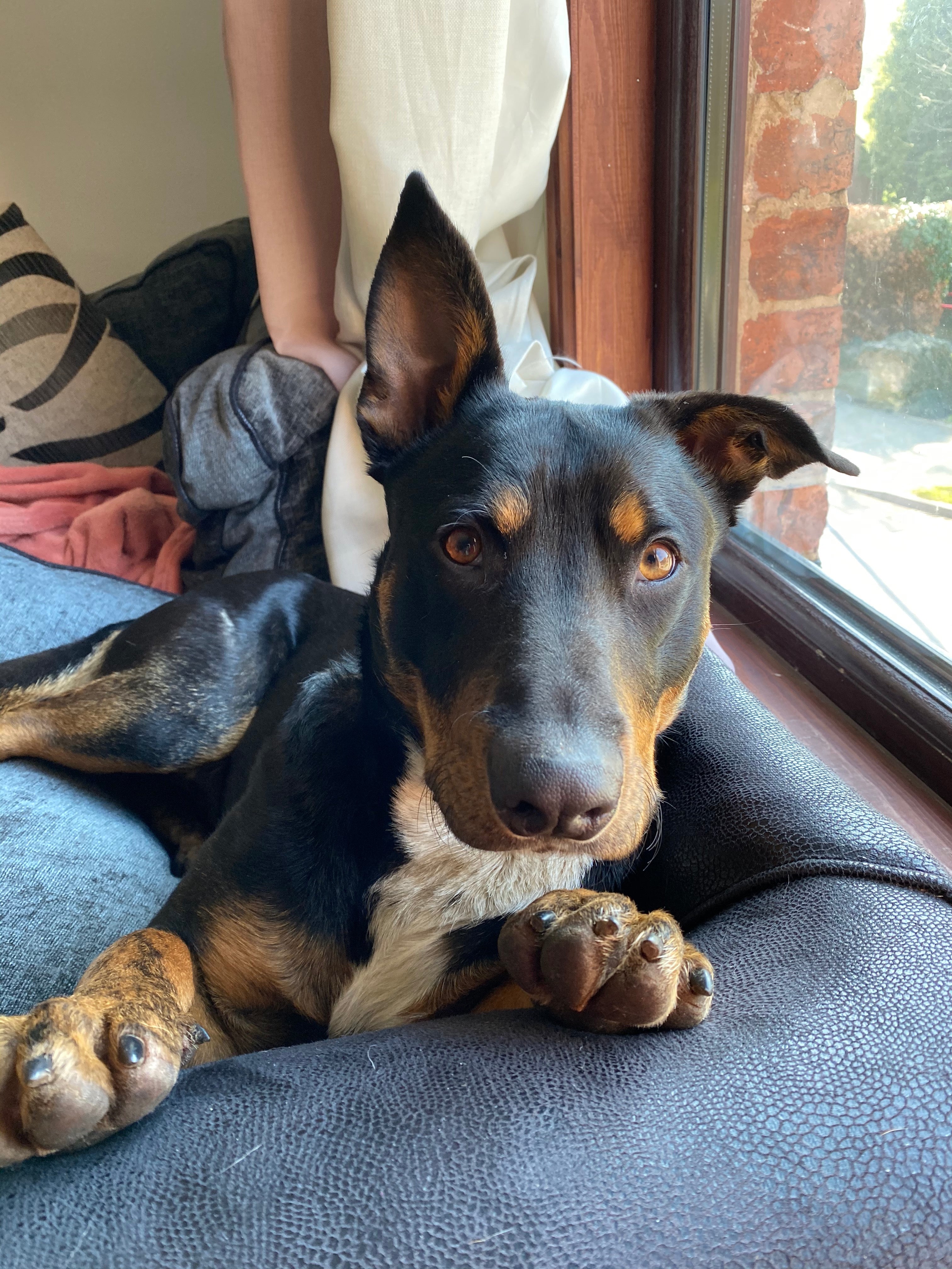 Getting through lockdown with Veronique Sandler...