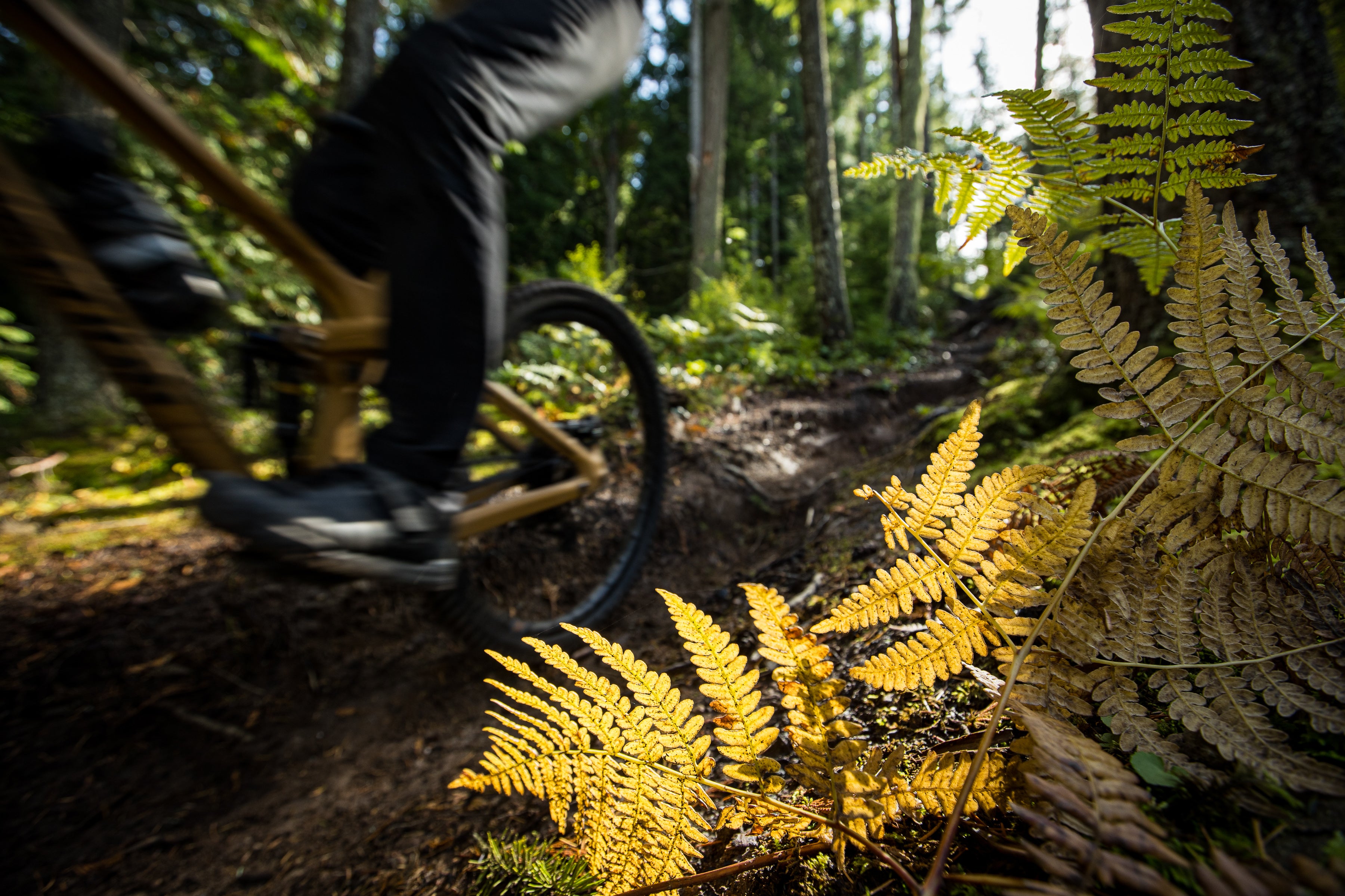 Updated enduro treads and SG2 Puncture Protection added to WTB mountain tires