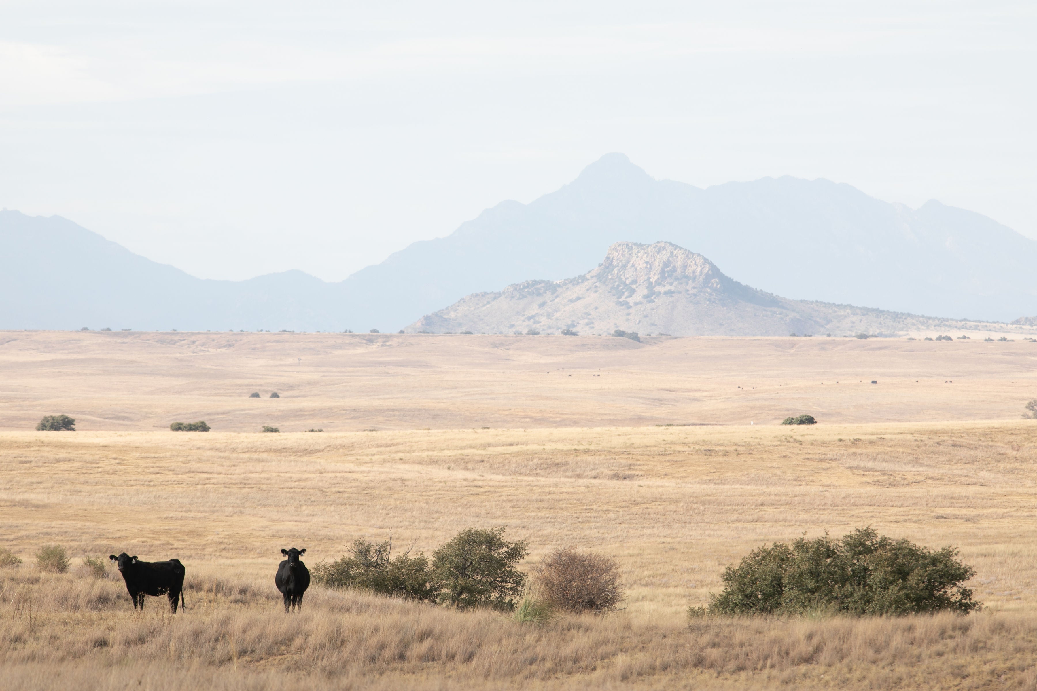 Yuri Hauswald & The Cyclist Menu