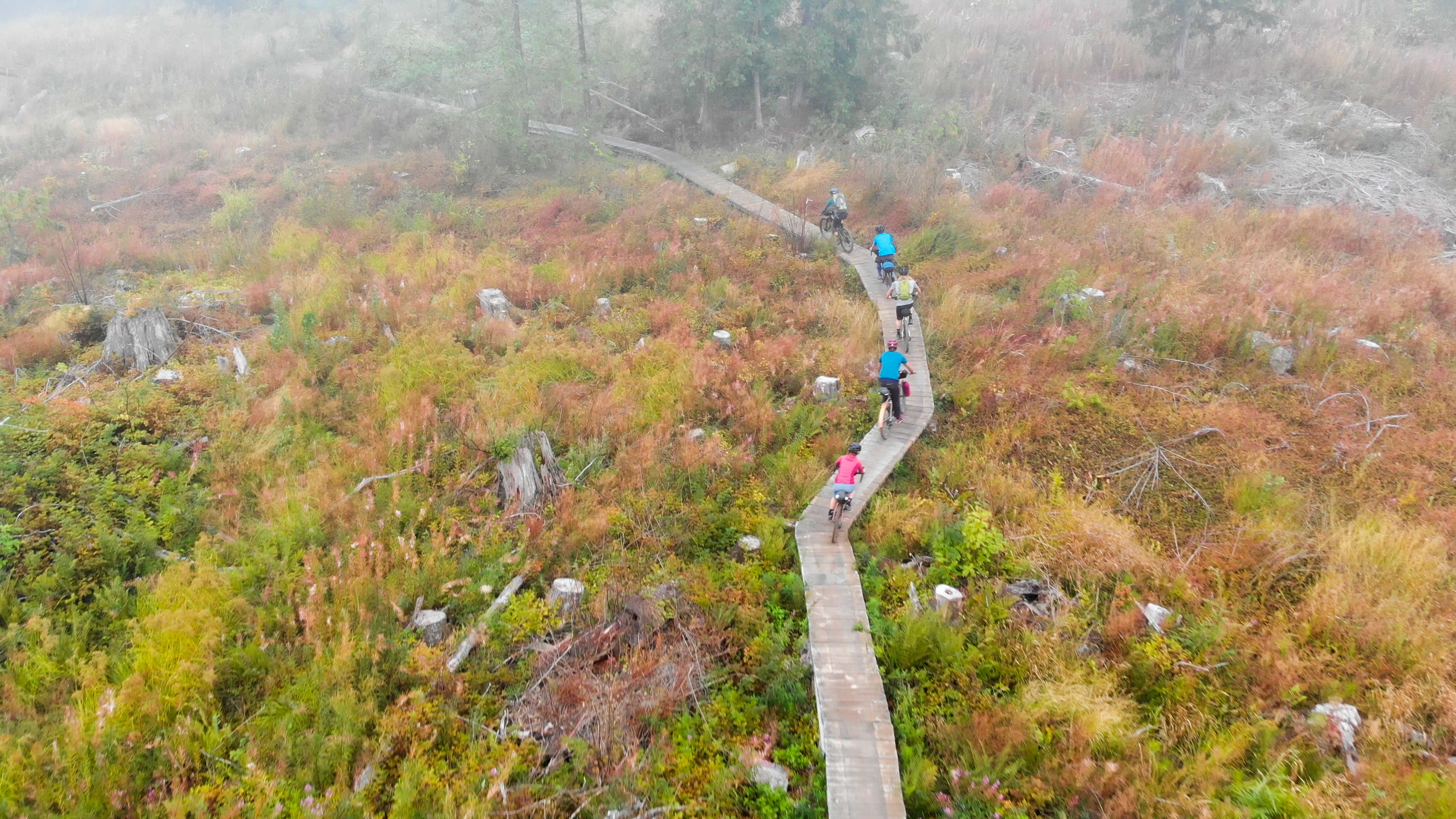School Night Bikepacking