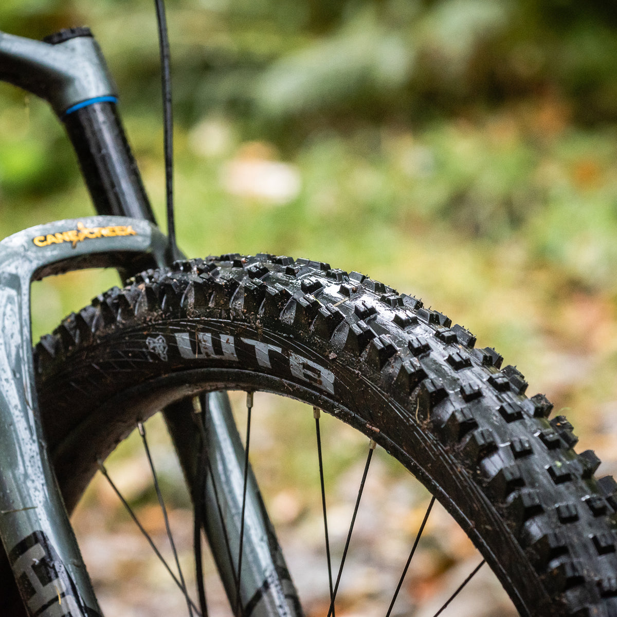 WTB Adds 2.8 Width to Vigilante Family