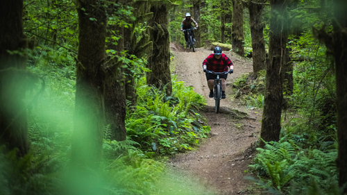 Premium Bike Rims for Every Ride | WTB Rims Collection