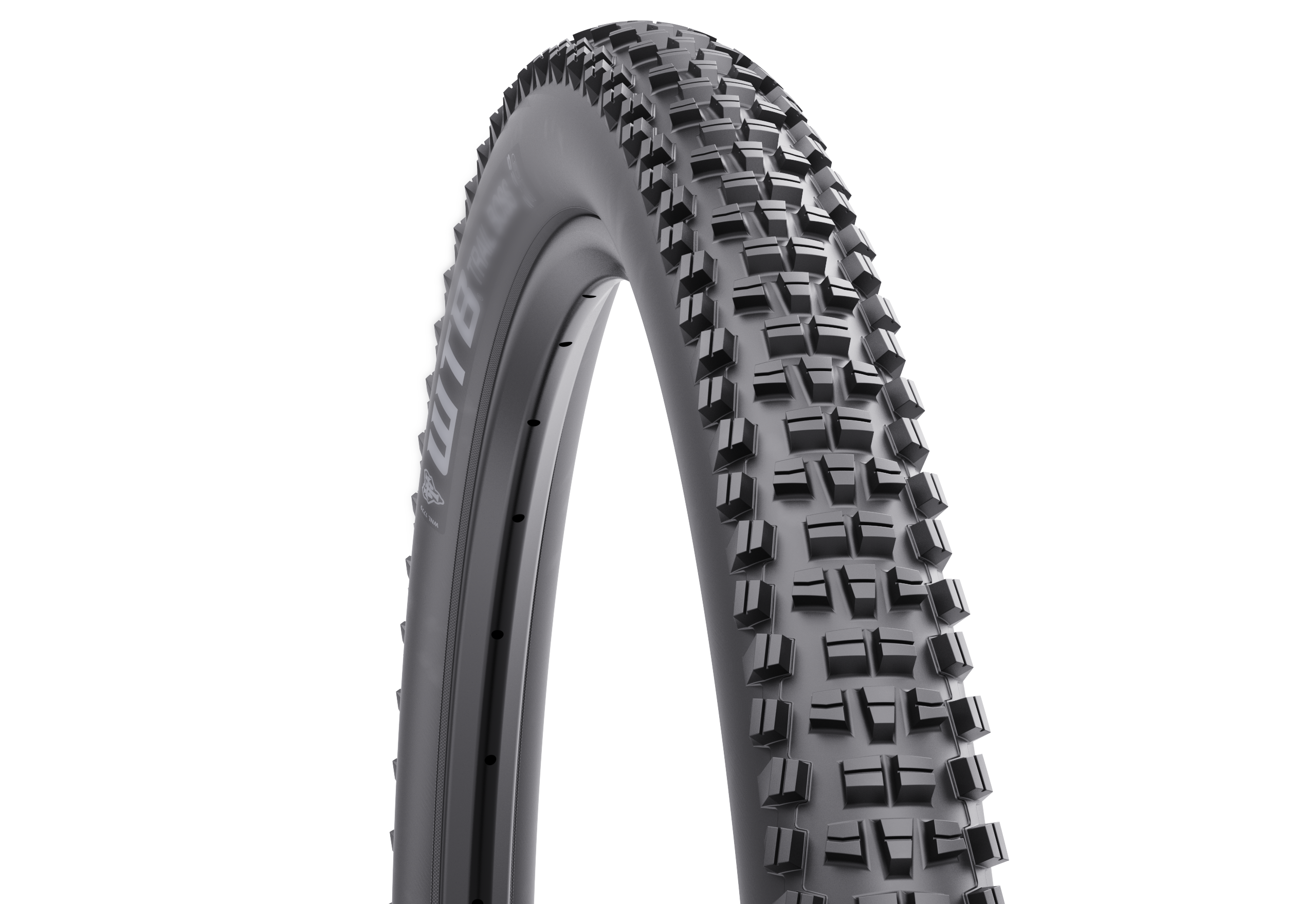 WTB Trail Boss Tire