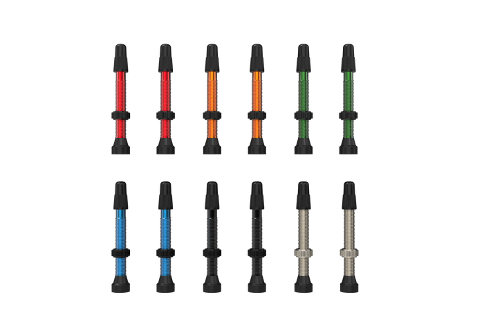 WTB TCS Tubeless-Ready Valves 