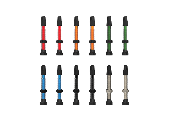 TCS Tubeless-Ready Valves - Enhance Your Tubeless Setup – WTB