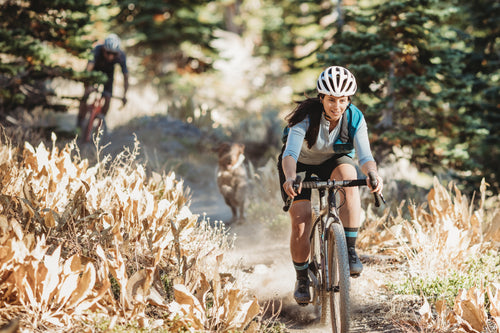 14+ Wilderness Trail Bikes