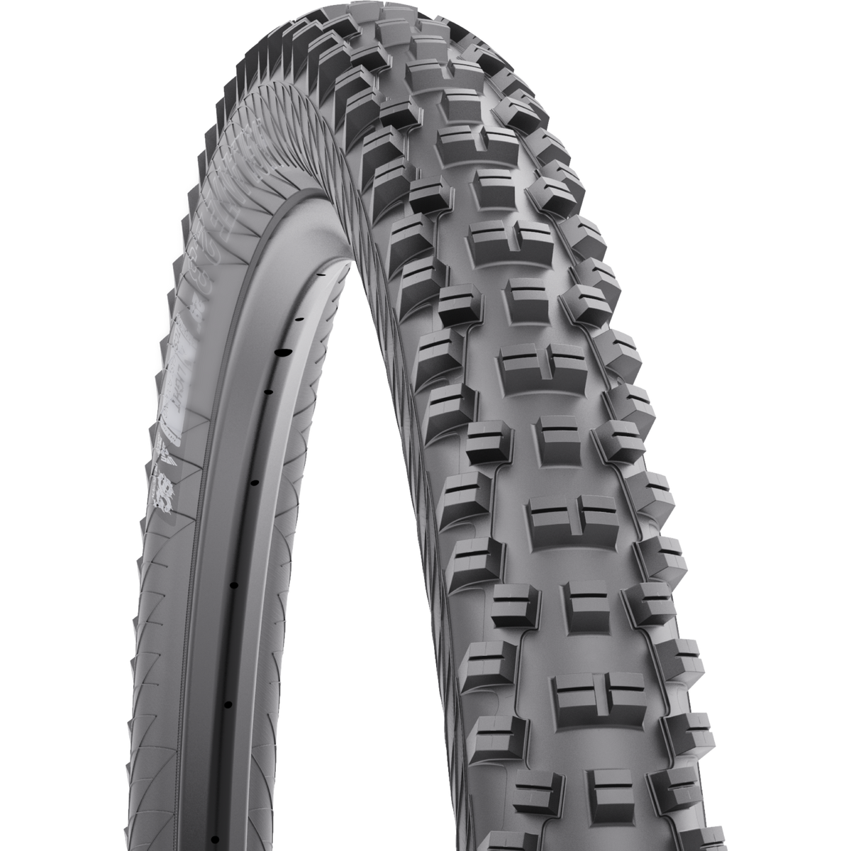 Versatile Mountain Tires for Aggressive Trail Performance