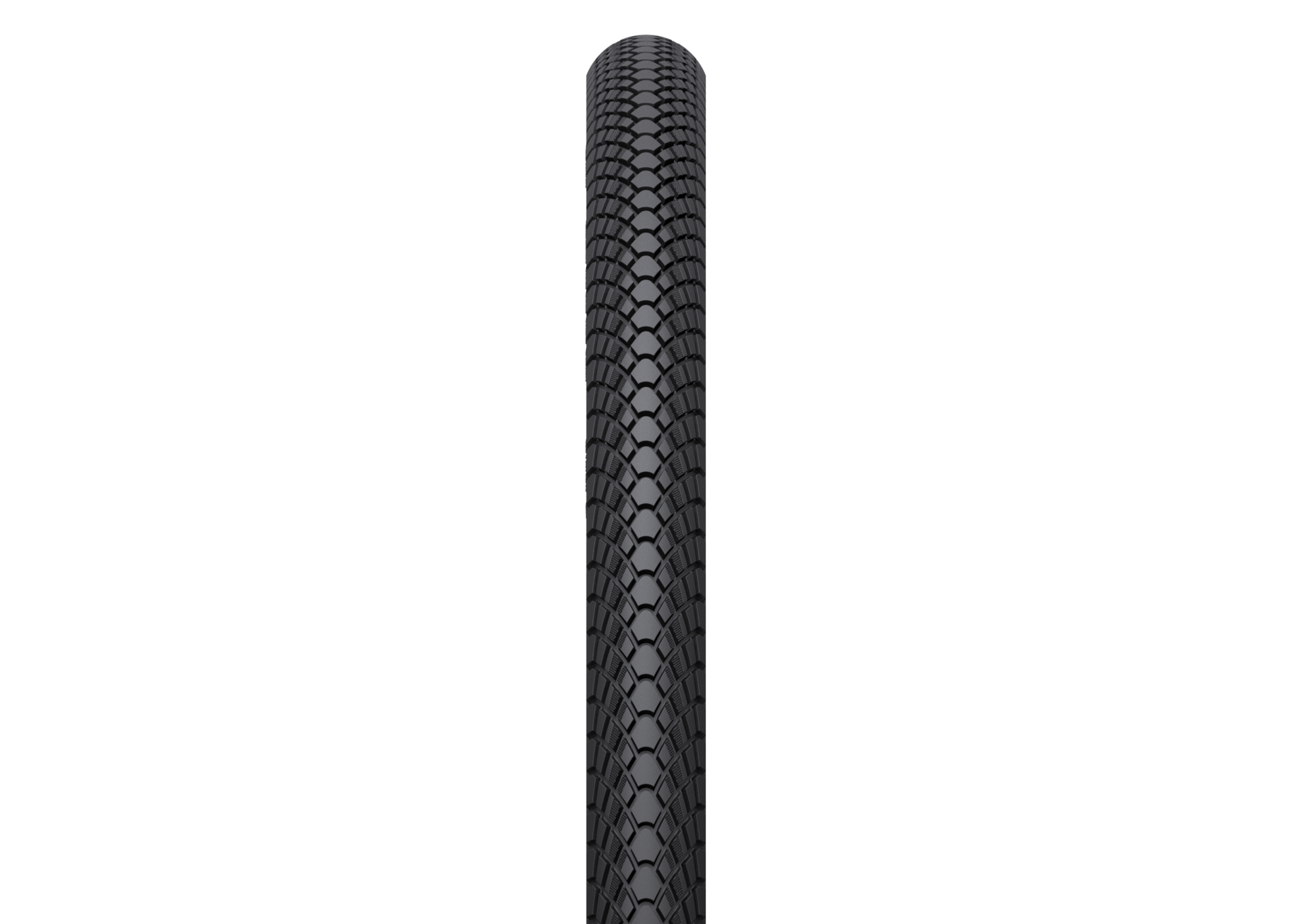 WTB Cruz Tire