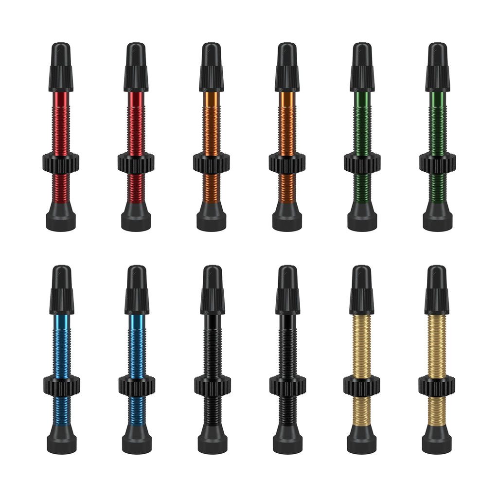 TCS® Tubeless Valves