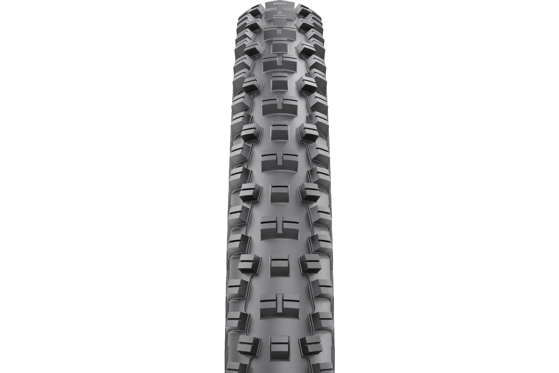 Versatile Mountain Tires for Aggressive Trail Performance